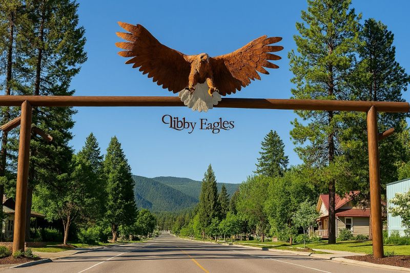 Best Bathtub Installation pros in Eagle, ID